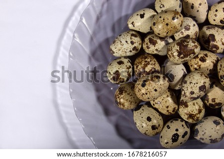 
fresh beautiful quail eggs pictures for text