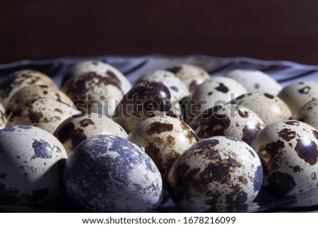 
fresh beautiful quail eggs pictures for text