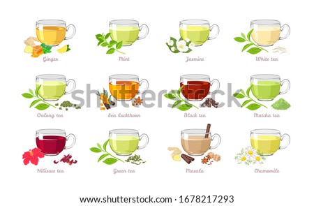 Set of tea of ​​different types. Vector illustration of collection of popular drinks in cartoon flat style. Glass cups isolated on white background. Royalty-Free Stock Photo #1678217293