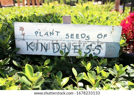 A small white wooden handmade sign in a church garden reads plant seeds of kindness.