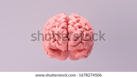 Human brain Anatomical Model, medical concept image Royalty-Free Stock Photo #1678274506