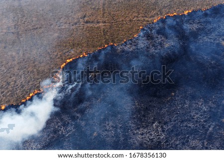 The fire forms a line of burning dry grass