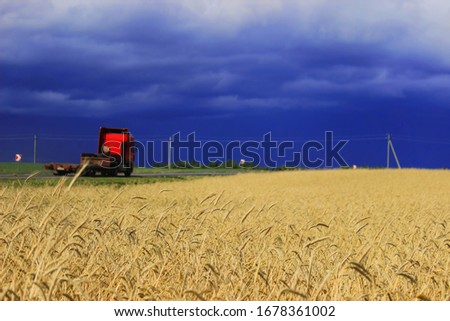 Stormy sky on a background of ripe yellow wheat in the field. A car rides along a road along a wheat field.