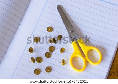 scissors and bedbugs on white paper on the table wood