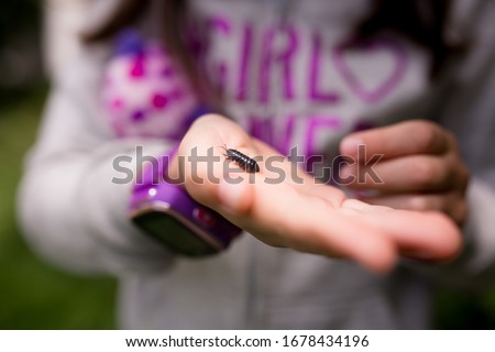 A pill bug is crawling across a girl's palm.