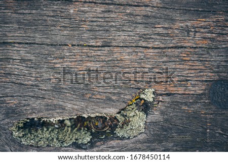 Wood board background or wooden texture