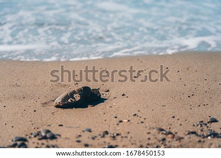 Stone on the Beach; natural background