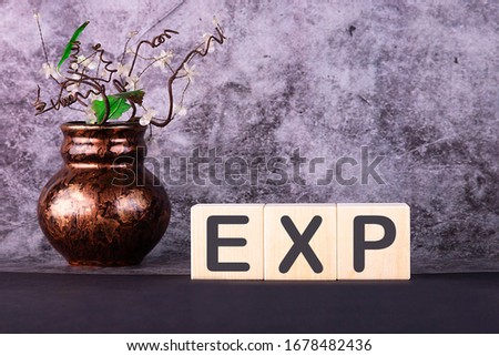 Word EXP made with wood building blocks on a gray background