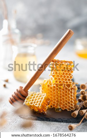 honeycombs on a slate plate with a stick for honey; selective focus in a beautiful composition, stack of honeycombs Royalty-Free Stock Photo #1678564276