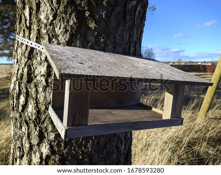 wooden birdhouse attached to a tree in the daytime in spring