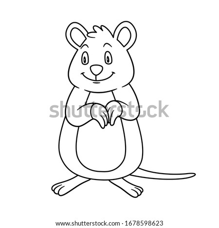 animal Quokka. Raster illustration. For pre school education, kindergarten and kids and children. Coloring page and books, zoo topic. Australian mammal Setonix brachyurus. Smiling with happy face.