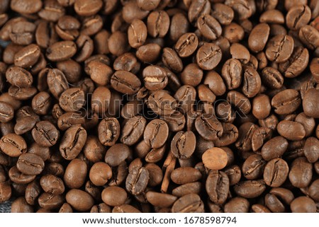 Fresh coffee beans for wholesale
