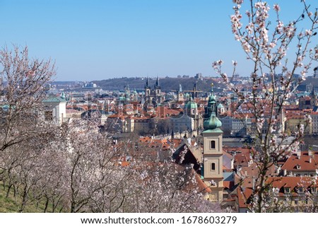 view from flowering hills to Prague