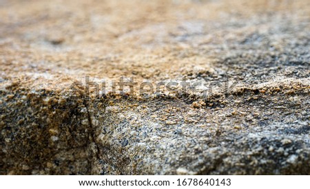 Texture photo Pattern of stone and sand taken at close range To be used in the design