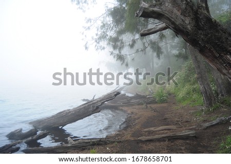 fogy lake called "ranu kumbolo"