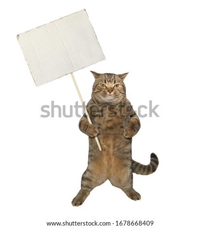 The beige cat is holding a paper blank white sign on a stick. White background. Isolated.