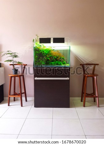 Aquarium aquascape in living room. Modern aquarium aquascape design. 