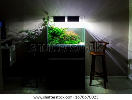 Aquarium aquascape in living room. Modern aquarium aquascape design.  Royalty-Free Stock Photo #1678670023