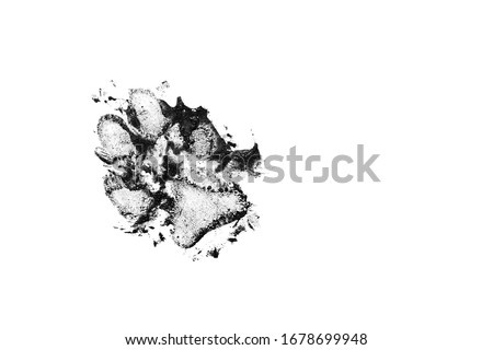 Dog dirty black track isolated on white background. Dog footprint