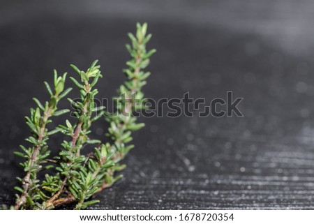 Detail of twig of thyme lying on black kitchen cutting board with blurred background
