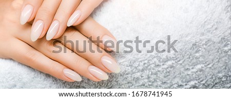 Manicure and Hands Spa. Beautiful Woman hand closeup. Manicured nails and Soft hands skin wide banner. Beauty treatment. Beautiful woman's nails with beautiful baby boomer manicure copy space for Royalty-Free Stock Photo #1678741945