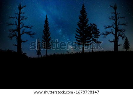 Milky Way shot in a mountainous area with the first floor silhouettes of threes. 