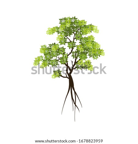 Green trees grow plants in a mangrove garden with a white background. Vector illustration