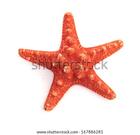 sea star isolated on white Royalty-Free Stock Photo #167886281