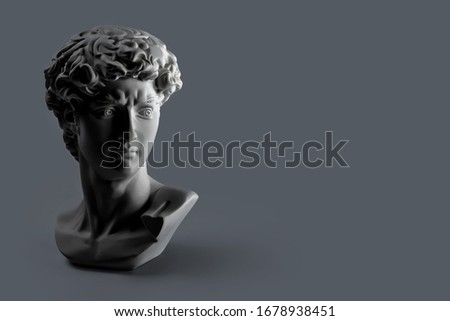 Gypsum statue of David's head. Michelangelo's David statue plaster copy on dark grey background with copyspace for text. Ancient greek sculpture, statue of hero Royalty-Free Stock Photo #1678938451