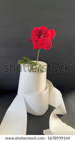red flower in toilet paper