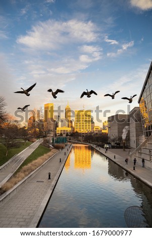 Indianapolis city skyline and canal in late afternoon with blue sky and a flock of geese.