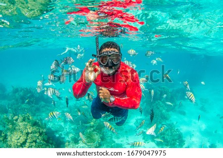 The underwater world of Grand Cayman Royalty-Free Stock Photo #1679047975