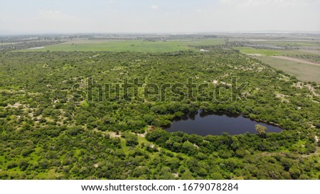 Aerial shot of field, green areas, trees and a small lake or water hole for animals and irrigation