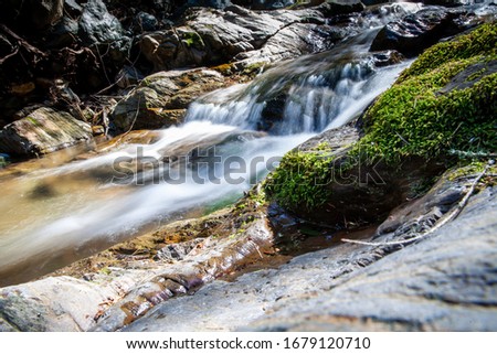 Waterfall in a forest stream