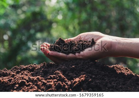 Hand holding soil in the hands for planting with copy space for insert text. Royalty-Free Stock Photo #1679359165