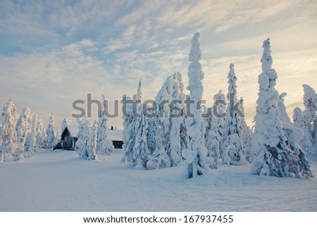 Beautiful view of finnish landscape, ruka, karelia, lapland, hilly winter landscapes in famous winter sports area called Ruka 