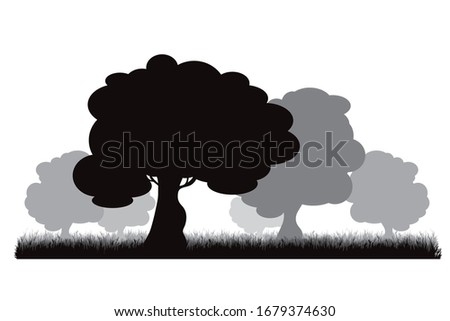Vector silhouette of tree in meadow on white background. Symbol of nature and plant.