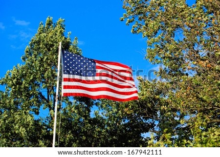 United States of America flag with blue sky and trees in the background
