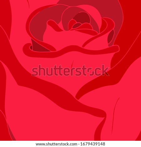 Background red rose. Bud, button. 
 Postcard cover. Vector.