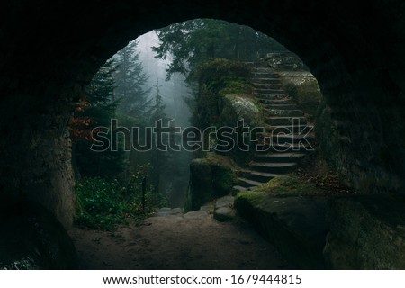 End of a tunnel to a Dark Mystical stairs in a fairy fantasy forest filled with magical mist or fog Royalty-Free Stock Photo #1679444815