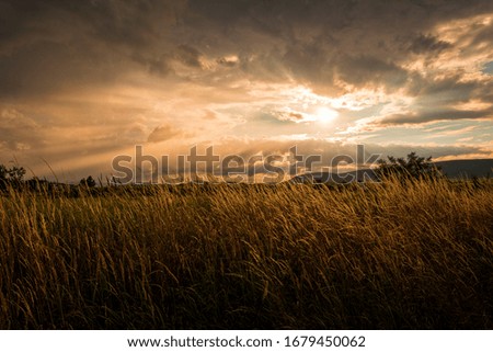 Sunshine through stormy clouds over a meadow