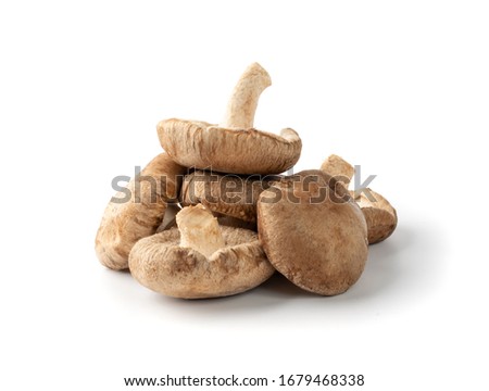 Pile of Fresh shiitake mushrooms isolated on white background. Raw shitake, healthy organic asian fungi Royalty-Free Stock Photo #1679468338