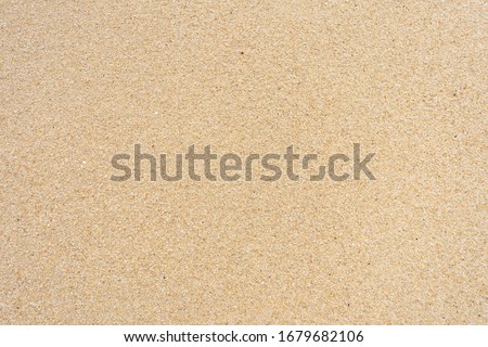 Sand texture on the beach. Crushed shells. Royalty-Free Stock Photo #1679682106