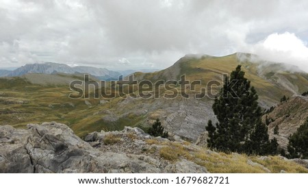 photography of landscapes with pine trees and views of rocky mountains