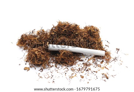 Tobacco and cigarette isolated on white