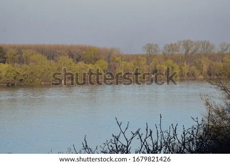 Autumn landscape from the Danube river in Zemun