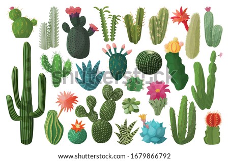 Cactus isolated cartoon set icon. Vector illustration mexican cacti on white background. Vector cartoon set icon cactus with flower. Royalty-Free Stock Photo #1679866792