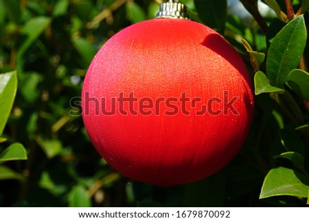 Trees decorated with sparkling balls and glitter objects. Beautiful Christmas decorations with snowflakes lights and ornaments. Decoration ball looking like apple from a branch. 