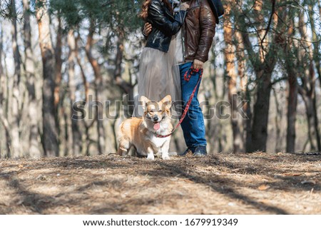 A pregnant girl odnitsya guy who holds a leash in his hand with a dog.