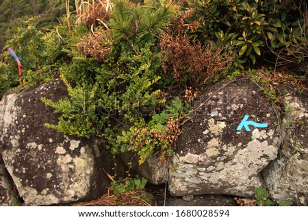 A Blue arrow on a Rock. Beautiful Scenery of Jeju Island, Korea